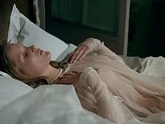 Słodki zapach róży