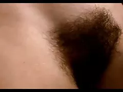 Gospodyni owłosione